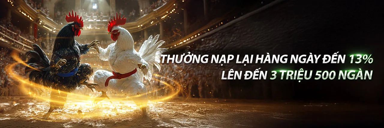 Tham gia 312winvn nhà cái ngay hôm nay