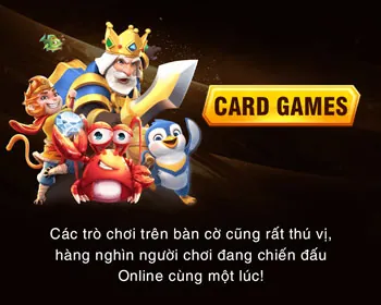 Hướng dẫn người mới